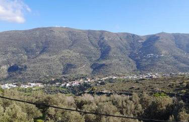 SummerAndros Skalario - Foto 29
