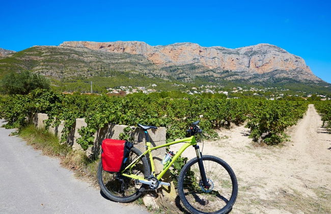 Avatar in Bah a de J vea - Foto 28