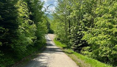 BESKIDIUM - uroczy dom Brenna - Foto 4