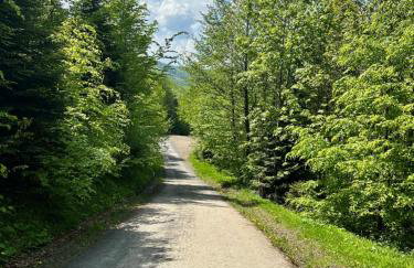 BESKIDIUM - uroczy dom Brenna - Foto 4