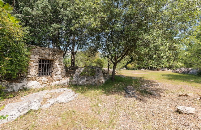 Can Company in Campanet - Foto 33