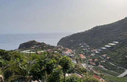 Secluded cottage w pool, oceanside view, 3BR, 3BA - Photo 35