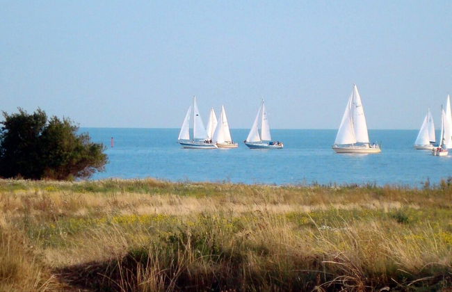 8 Person Holiday Home in Nysted - Foto 17