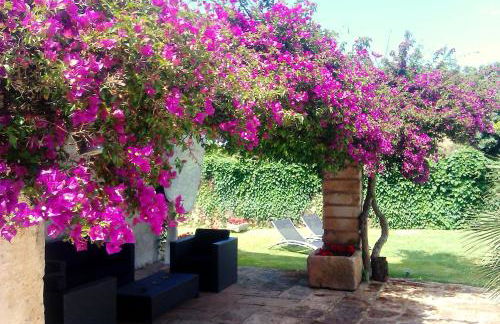 Agroturisme Son Pons - Foto 37