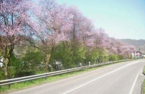 Apartment in Waldbreitbach mit Whirlpool by Interhome - Foto 20