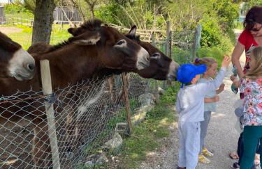 La Fleur des Marais - Maison tout confort au calme, grand jardin & balançoire - Foto 32