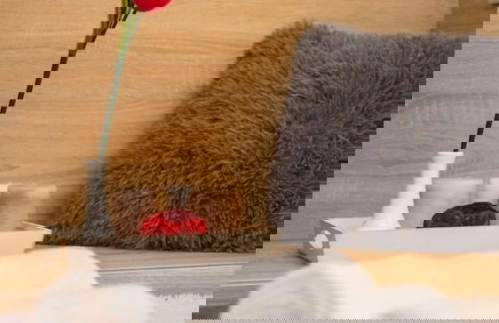 Smart Apartment Krehivska 7b - Photo 6