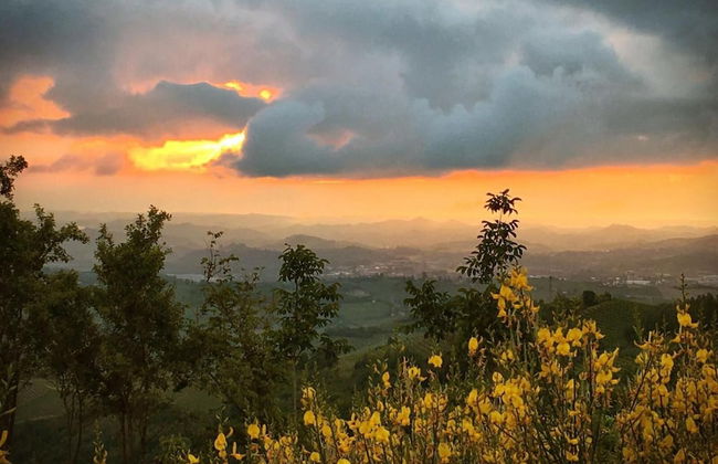 Casa Remussi - Foto 29