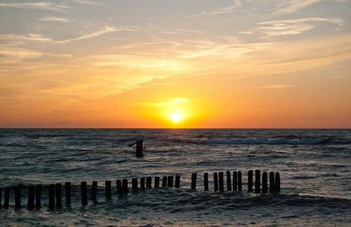 Słoneczny Dworek - Foto 30