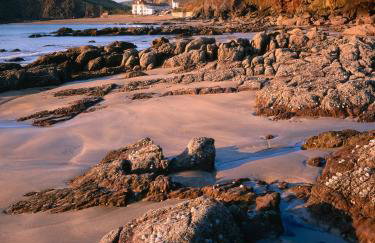 Hope Thatch - Foto 52