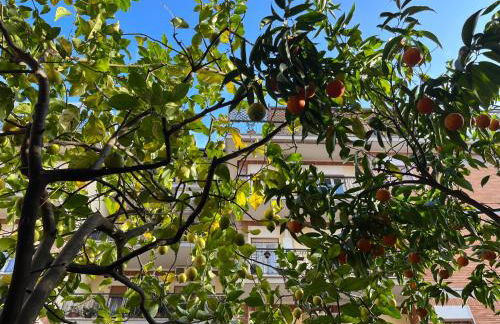 Acquedotti apartment with garden - Foto 15
