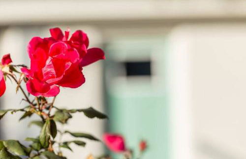 Open and Comfy home near Downtown-Folly Beach - Foto 22