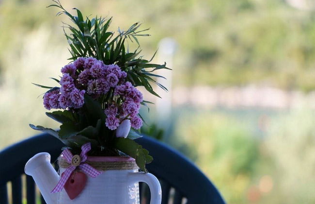 Apartments Juras - Foto 41