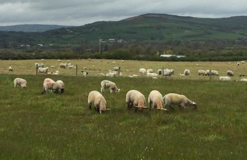 Derg Cottage - Foto 13