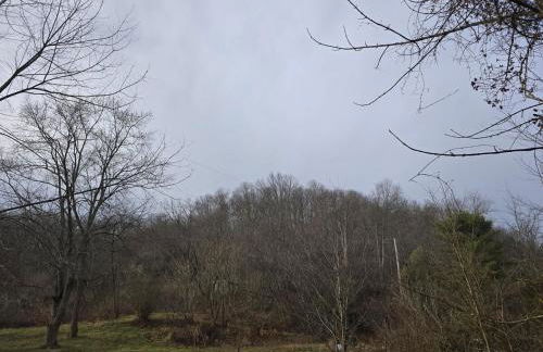 The Happy Place - Foto 15