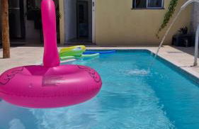 Caminho da Praia - Uma experiência inesquecível em um ambiente único e reservado - Foto 23