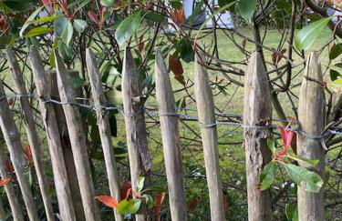 Le Rosa: Villa de charme entre mer et pinède - Foto 44