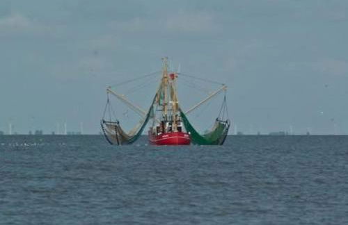 Holiday Home Großes Ferienhaus in Müggendorf mit Garten by Interhome - Foto 11