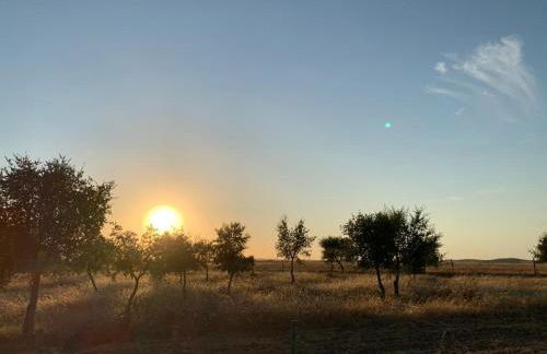 Solar da Cavalariça - Foto 25