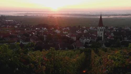 Chez Delphine - Foto 3