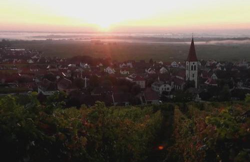 Chez Delphine - Foto 3