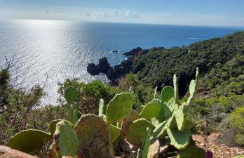 Vue exceptionnelle sur la mer et le Cap Estérel - Foto 45