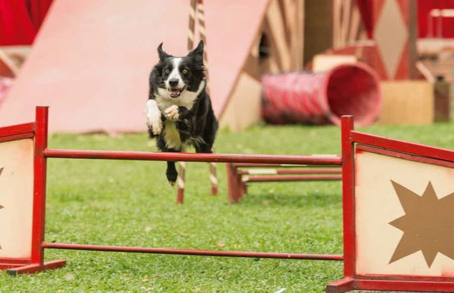 Parque Panaca Day Trip - Photo 3