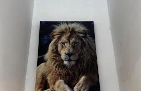 Pé na Areia Itanhaém Churrasqueira - Foto 27