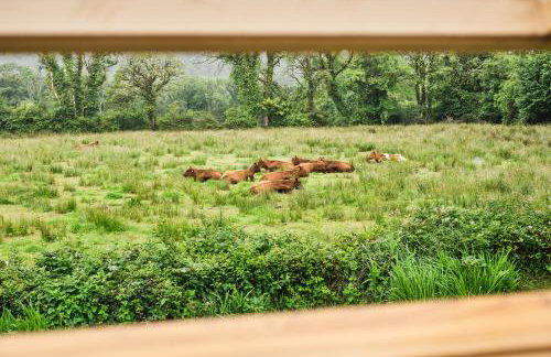 Green Gables by Escape Ordinary - Foto 76