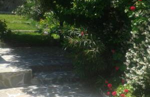 Green and Blue View - Foto 28