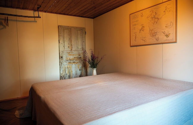 Metsä Kolo - Foto 12