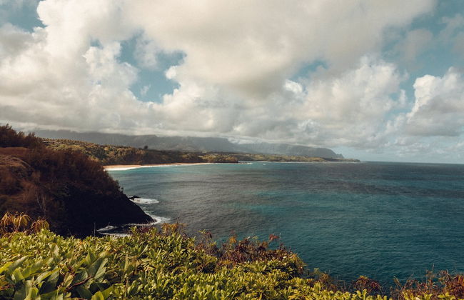 Banyan Harbor Resort - Foto 147