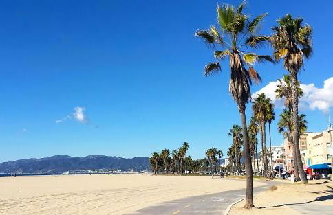 New Modern Cozy Guest House, Parking, Pet Friendly in Mar Vista! - Photo 18