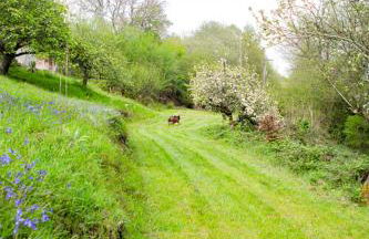 Little Hollows Glamping - Foto 47