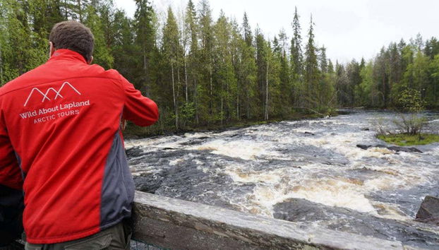 Riisitunturi National Park Hiking - Foto 2