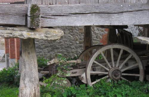 Casas Rurales Asturias Campon Antrialgo - Foto 24