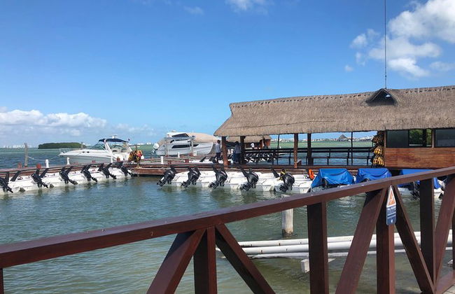 Das unerschrockenste Speedboat-Abenteuer in Cancun Schnorchel inklusive - Foto 22