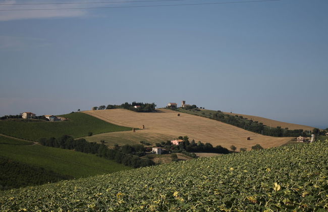 La Viola e il Sole - Foto 30