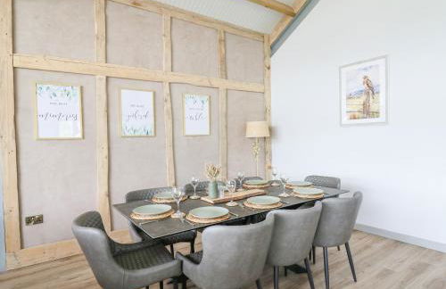 Barcud Coch - Red Kite - Photo 14