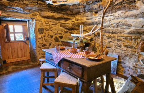 Cardenha das Formiguinhas - Foto 13