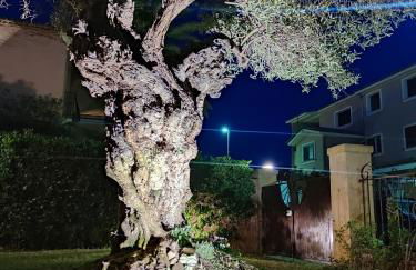 Domu Cannuja - Foto 45