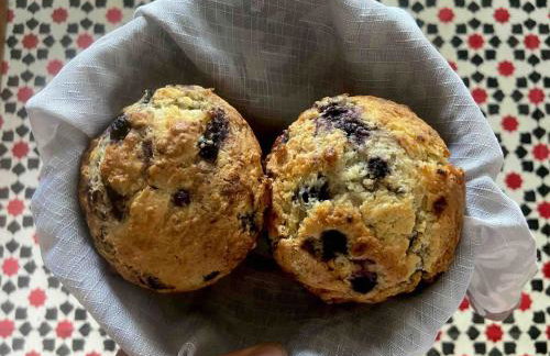 Retreat at Sea Cloud Cottage in Historic Wiscasset - Foto 19