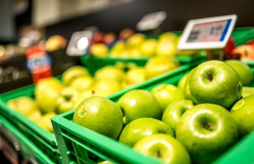 Alpine Chalet Sauter - Photo 77