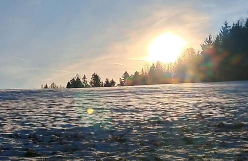 Gemütliche Ferienwohnung mit Sauna und Balkon im Zentrum von Bad Elster - Photo 19