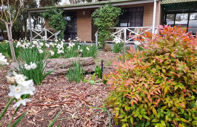 Barossa Country Cottages - Foto 19