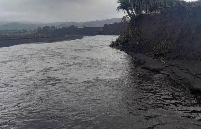 Glowing view tree house and Bangalow - Foto 18