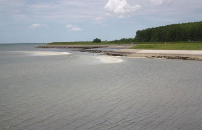 Luxe Stay With Sauna & Garden - Photo 34