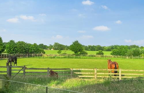 Chestnut Lodge - Foto 11