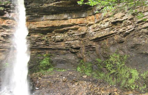 Hollyhock Cottage - Photo 11