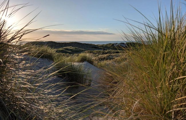 Apartment in Middelkerke for 4 Person - Foto 39